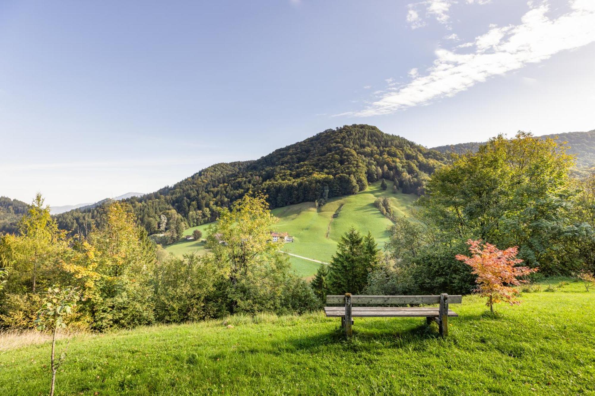Ferienwohnung Alpenglück Marktschellenberg Exterior foto